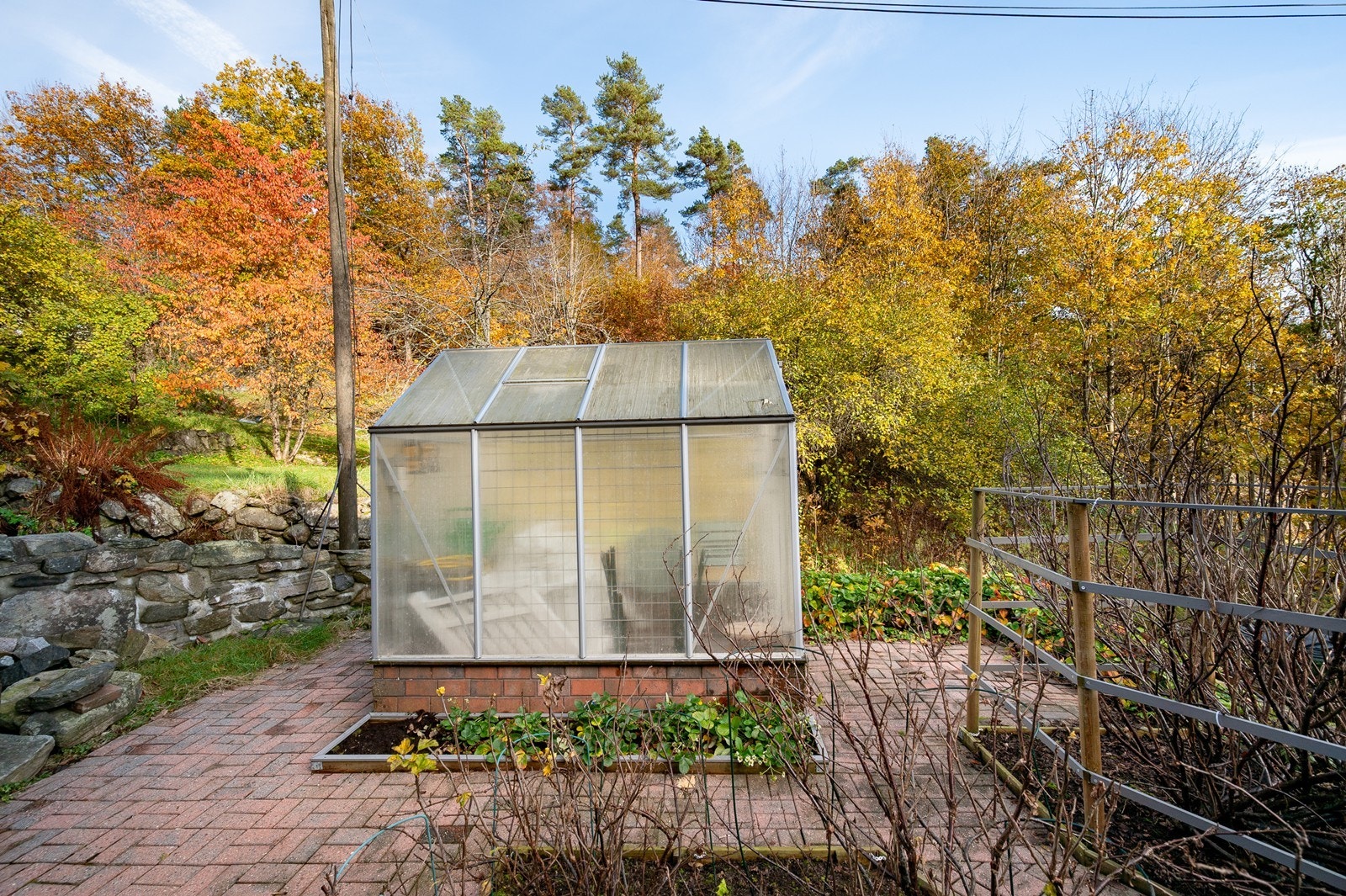 Drivhuset på eiendommen gir mulighet for dyrking av grønnsaker og planter. Galleribilde