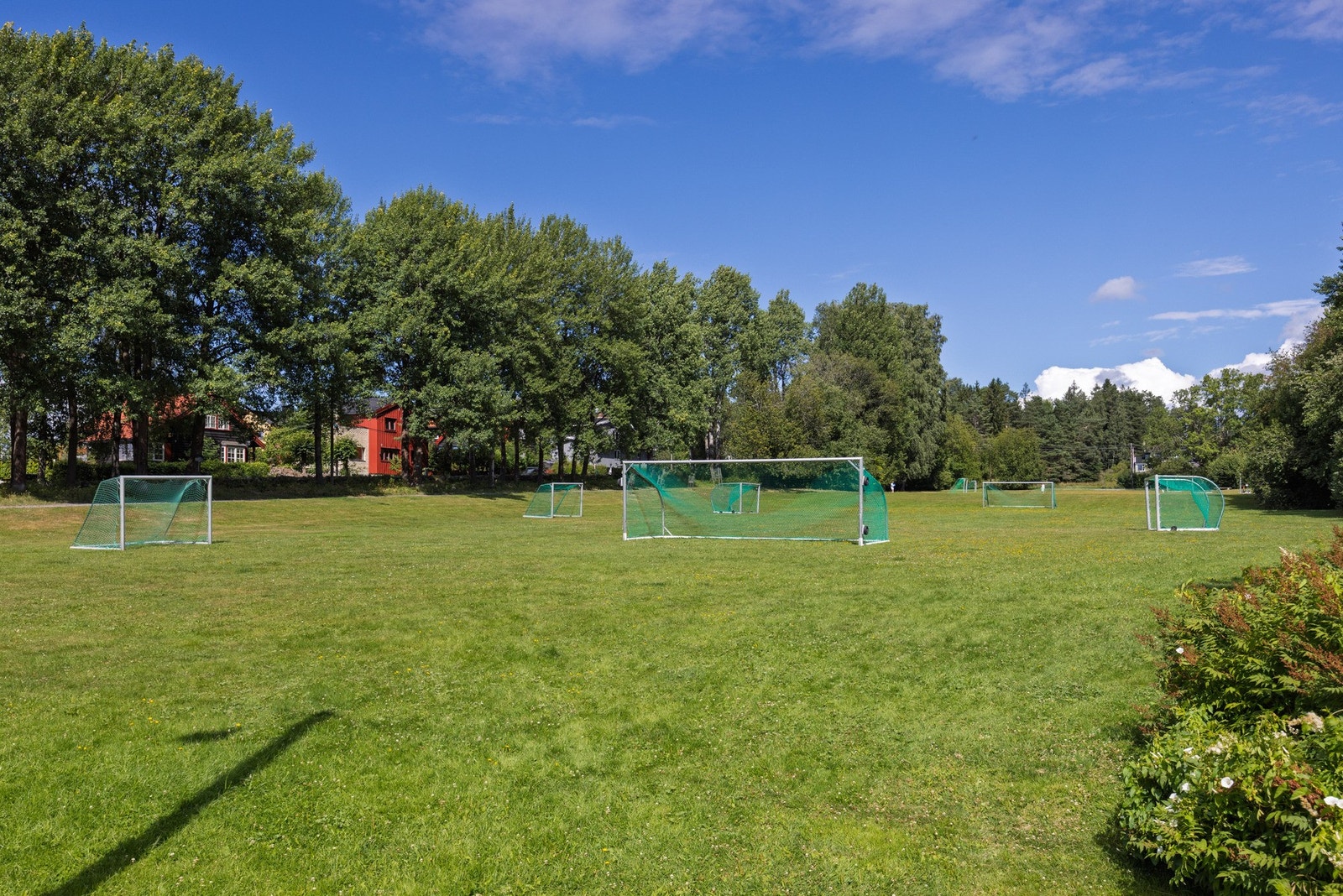 Nærområde Galleribilde