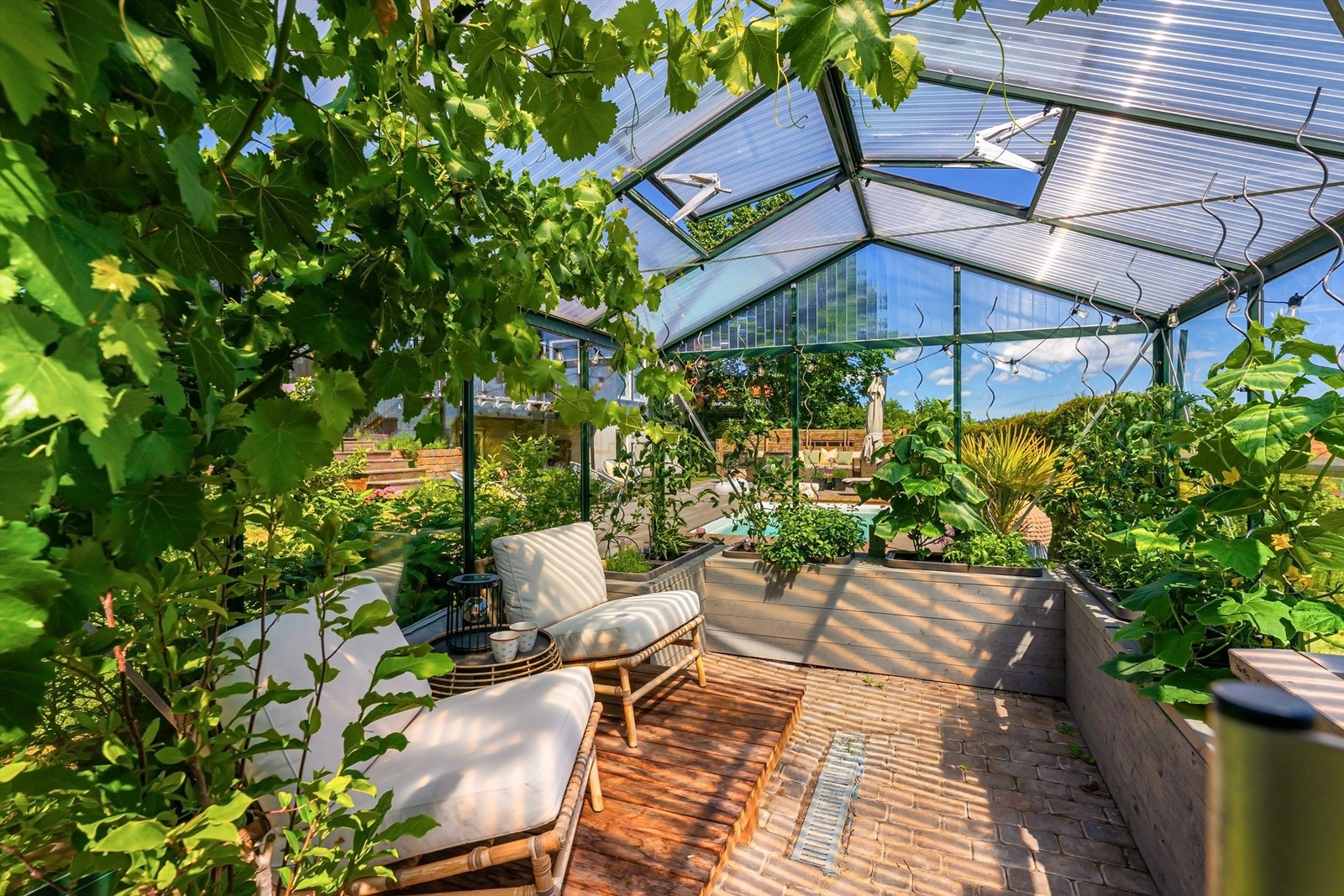 Inne i drivhuset er det god plass til både planter og en liten sittegruppe. Galleribilde
