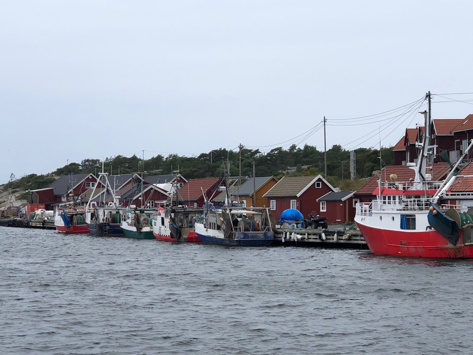 En tur til Utgårdskilen byr på ferske reker, smakfulle fiskekaker og varm fiskesuppe! Galleribilde