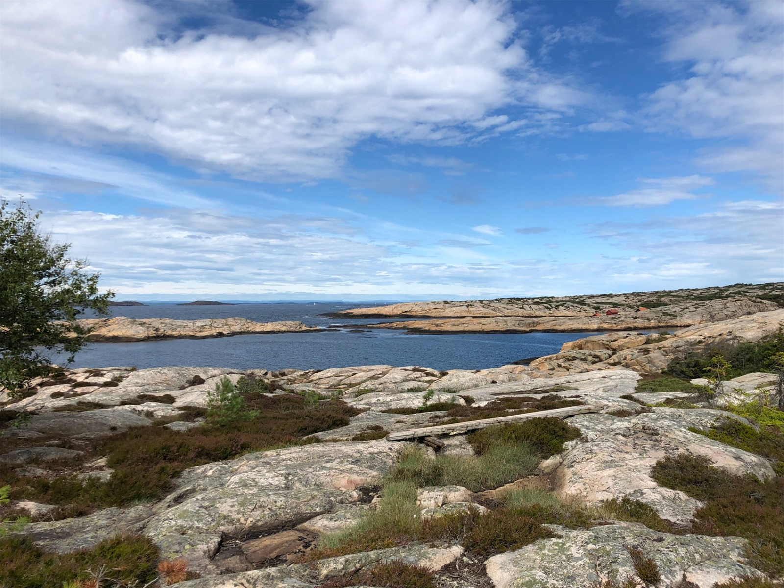 Her finner du flere kilometer med naturskjønne turstier og flott utsikt til den andre siden av fjorden. Galleribilde