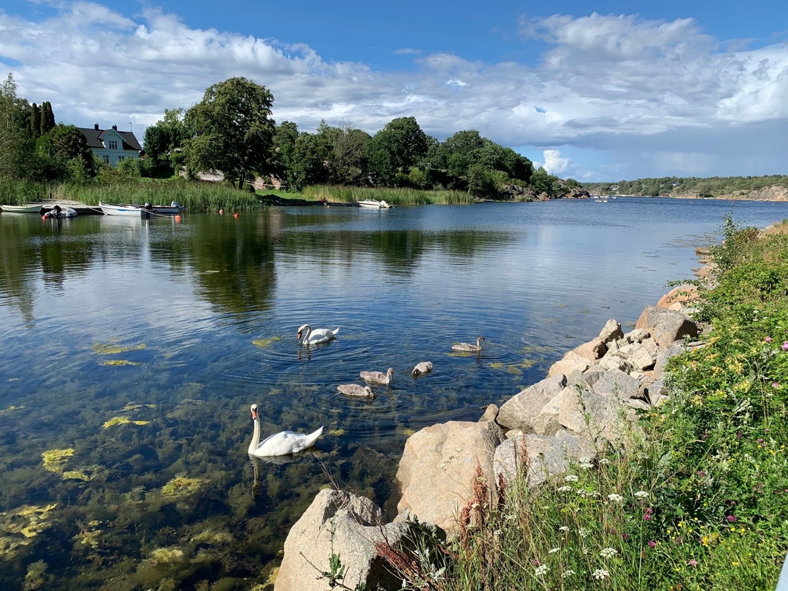 Vauerkilen ligger kun 200 meter fra boligen og byr på vakker skjærgårdsidyll og flotte naturopplevelser. Galleribilde