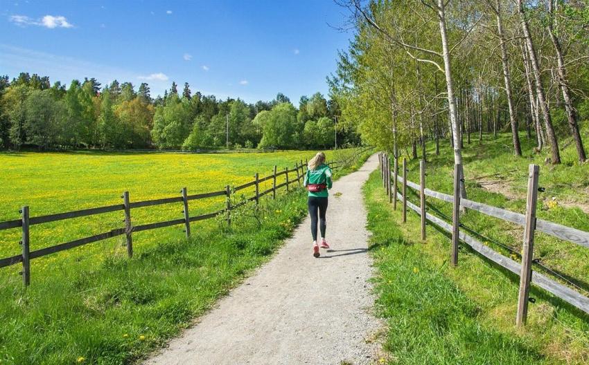 Noen minutters gange til Søndre Aas gård med turmuligheter, dyr, hester og rideskole - en idyllisk besøksgård, omkranset av flotte rekreasjonsmuligheter. Galleribilde