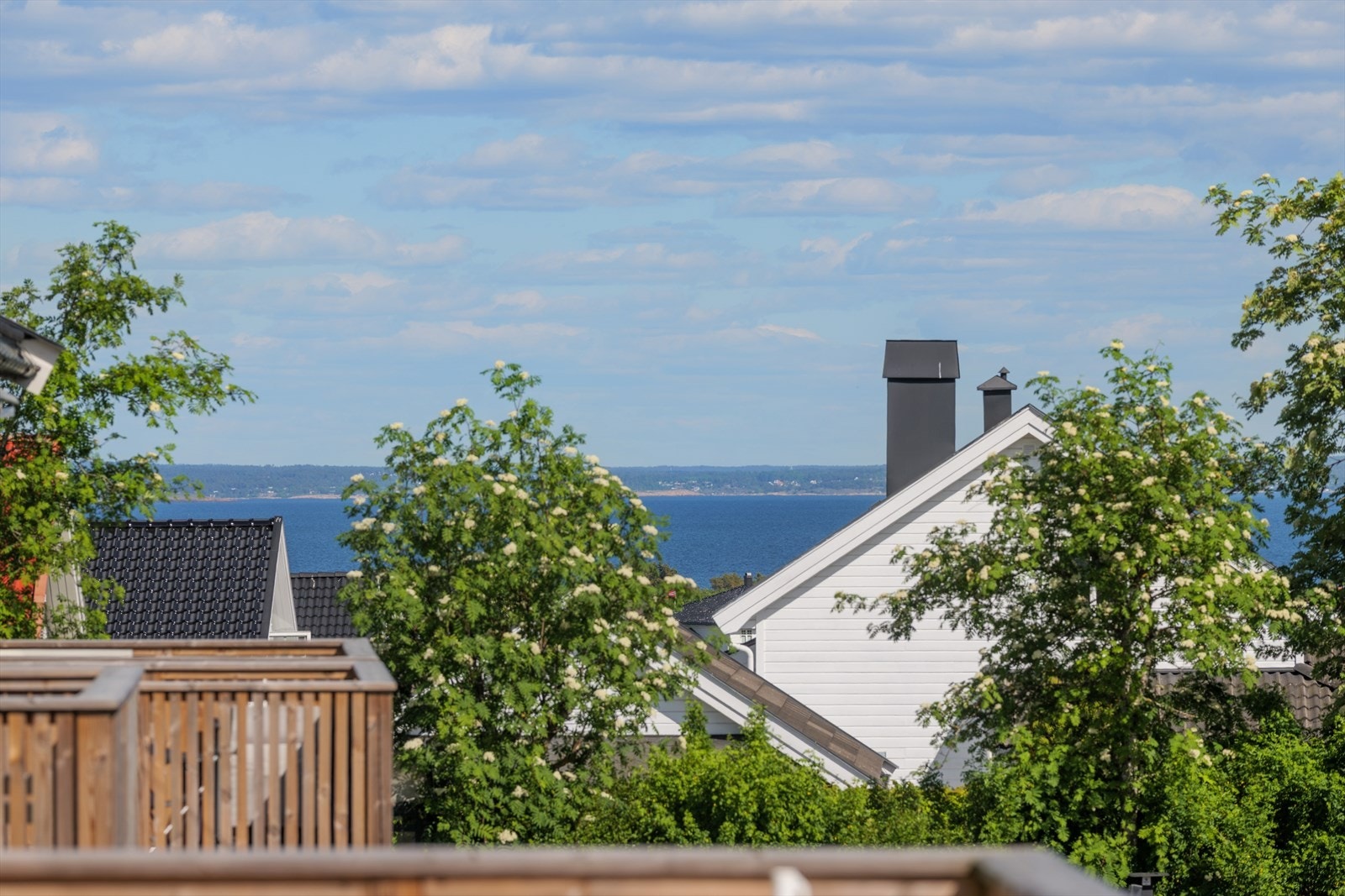 Sjøglimt! Galleribilde
