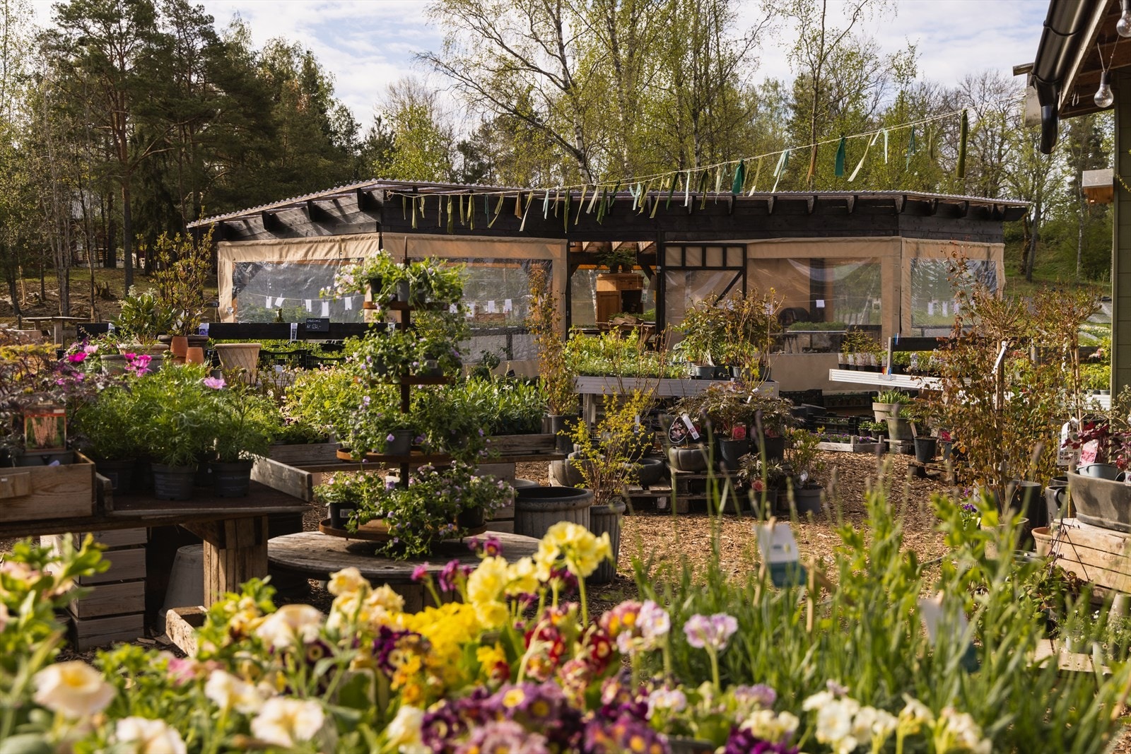 I nærområdet finner du den populære Blomsterhagen på Abildsø, en unik blomsteråker og åkerbutikk som tilbyr selvplukk av blomster, kurs og hyggelige opplevelser gjennom store deler av året. Galleribilde