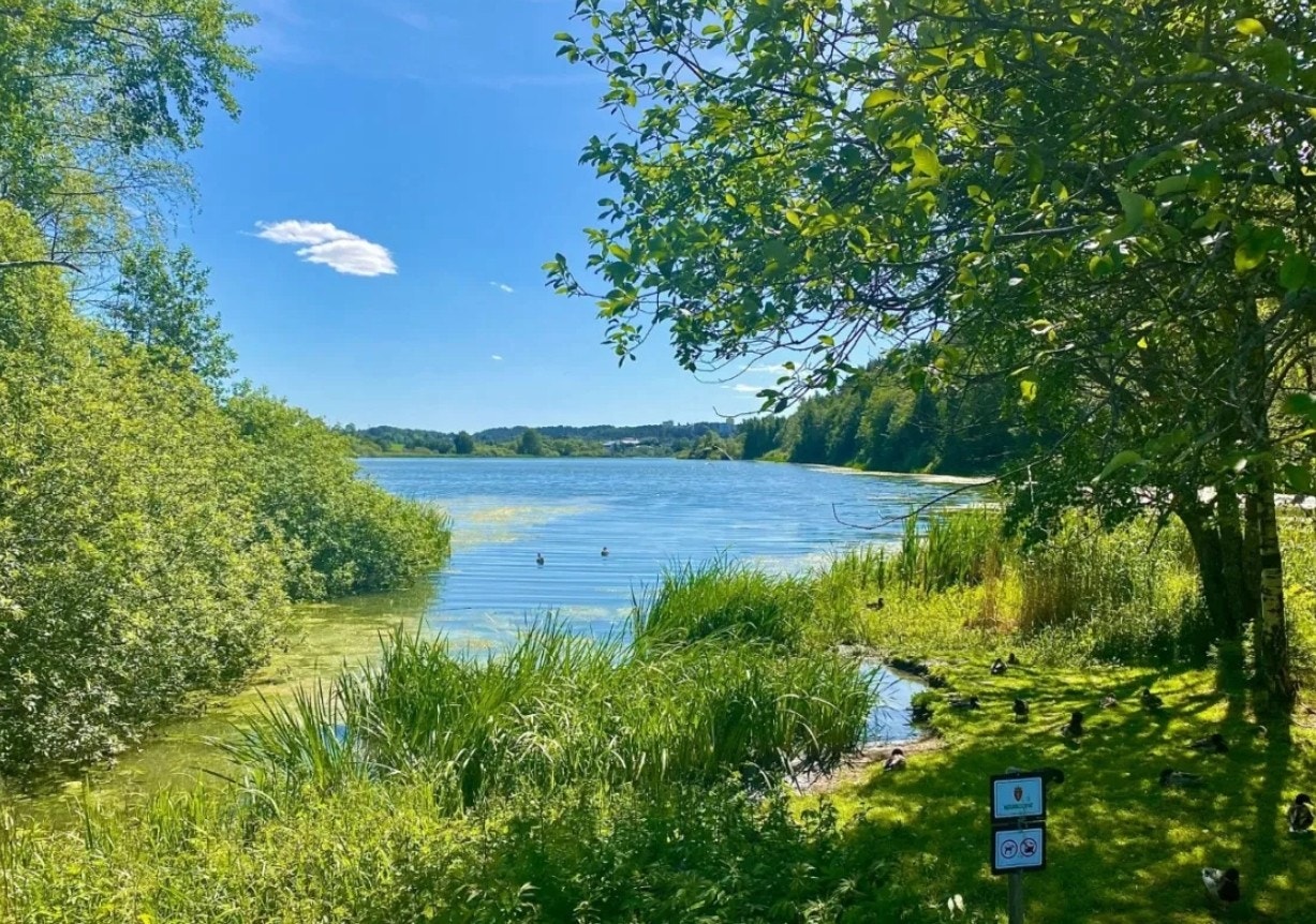 En av områdets store kvaliteter er nærheten til Østensjøvannet. Det vakre naturreservatet byr på idylliske turstier, rikt fugleliv og flotte naturopplevelser gjennom alle årstider. Østensjøvannet ligger kun ca. 1,5-2 km fra eiendommen. Galleribilde