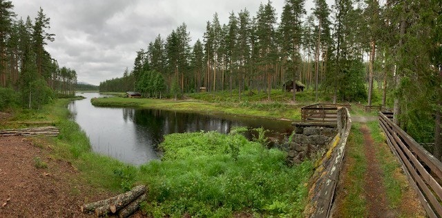 Selgers bilde. Galleribilde