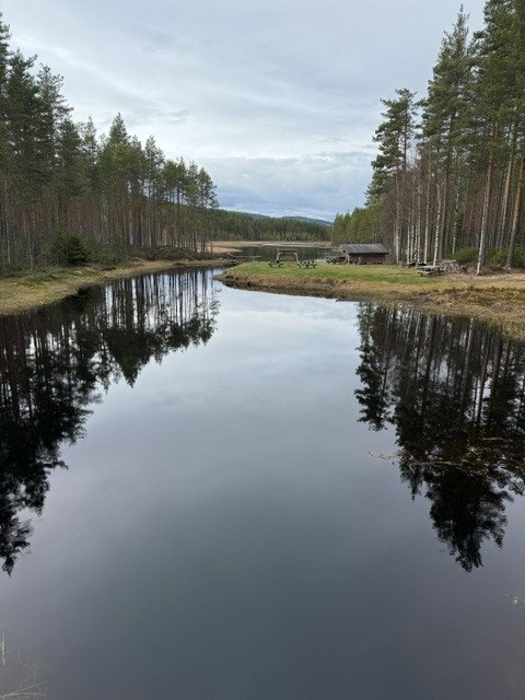 Selgers bilde. Galleribilde