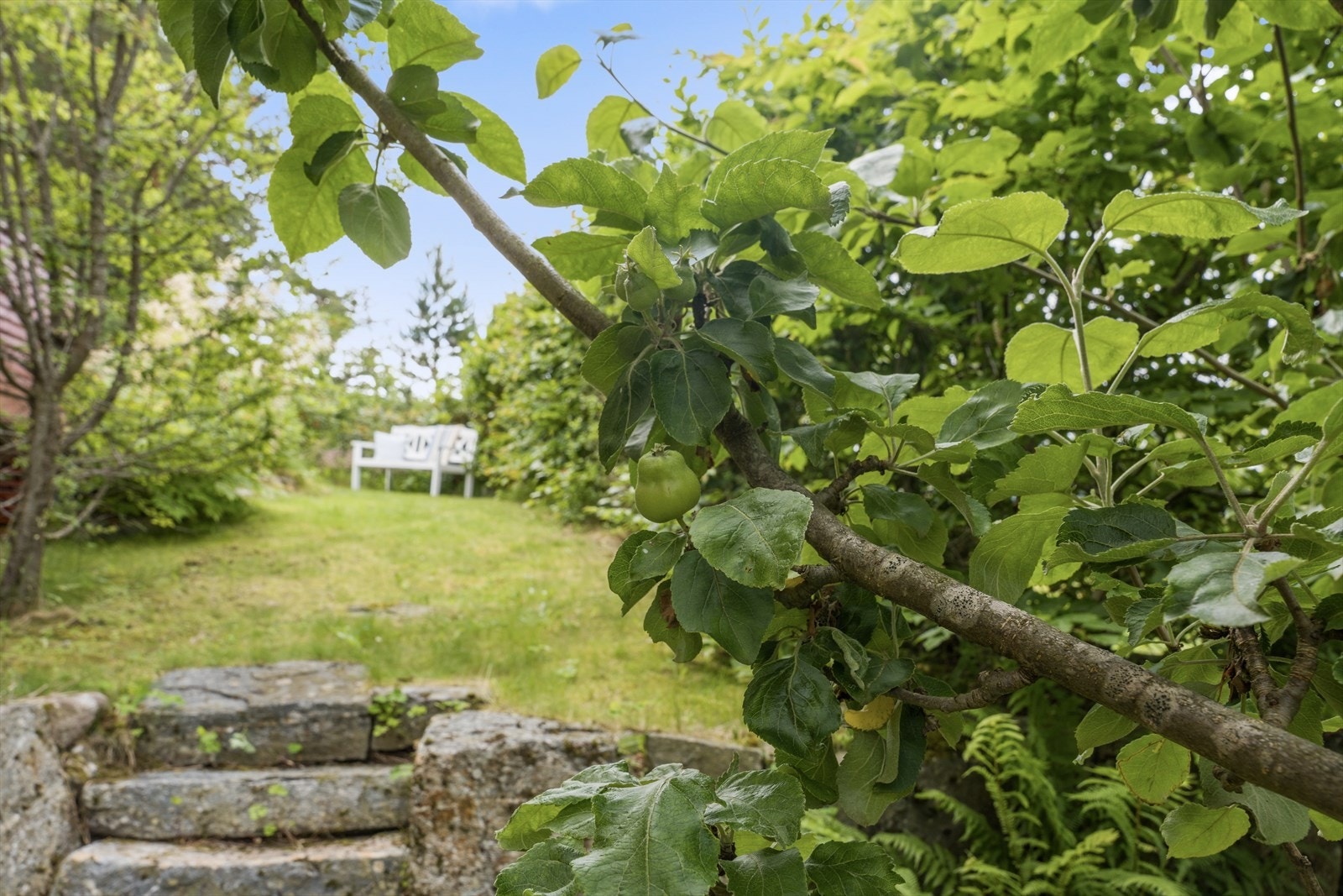 Steintrapp i hagen. Galleribilde
