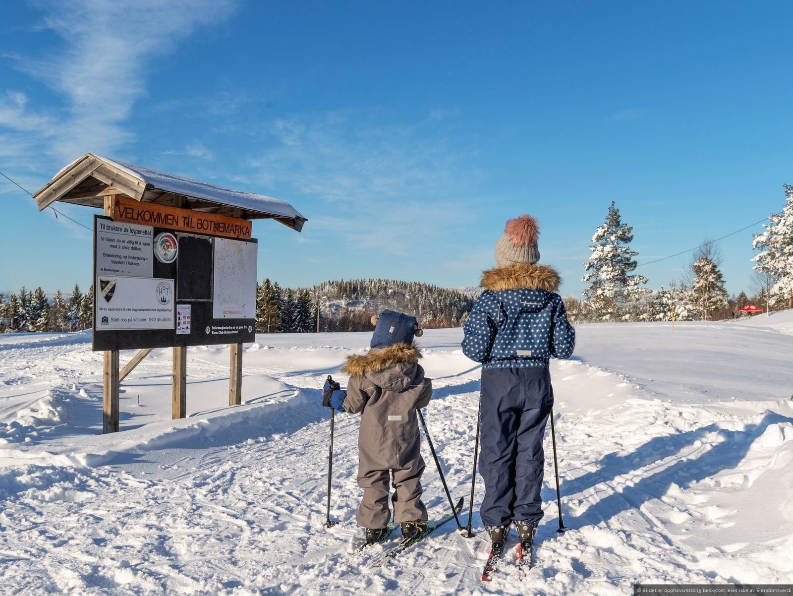 Botnemarka har flott turterreng og topp skiløyper på vinteren. Galleribilde