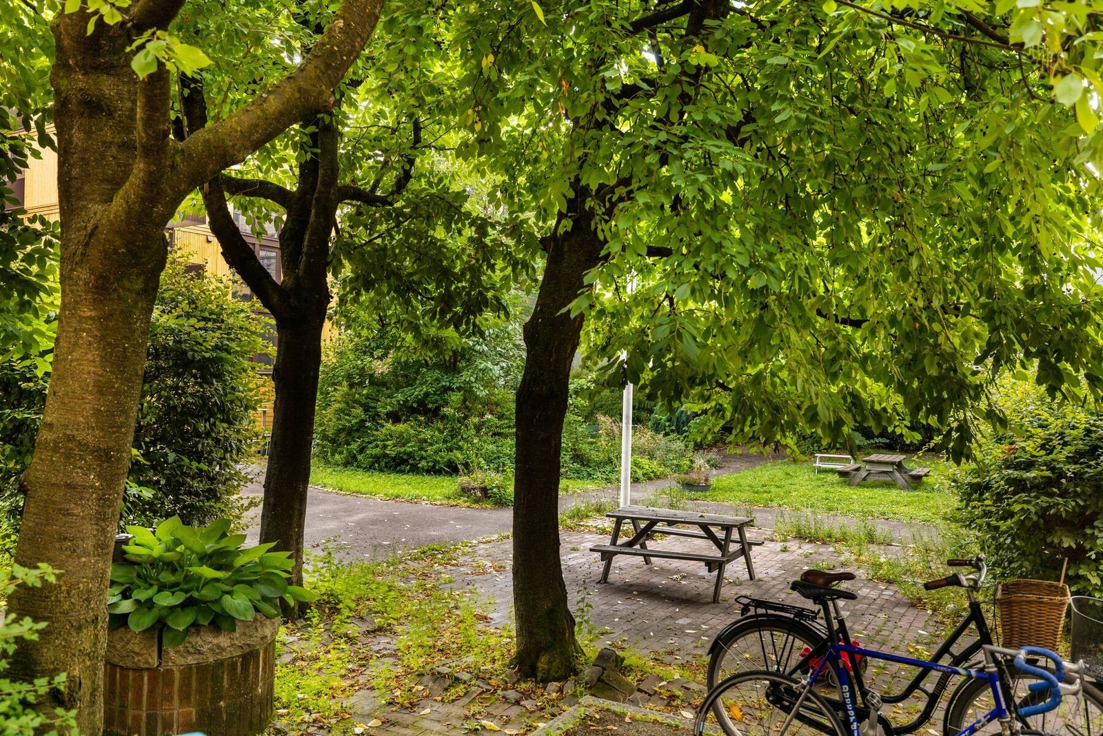 Bakgården er et romslig og skjermet uteområde som fungerer som en egen park for beboerne Galleribilde