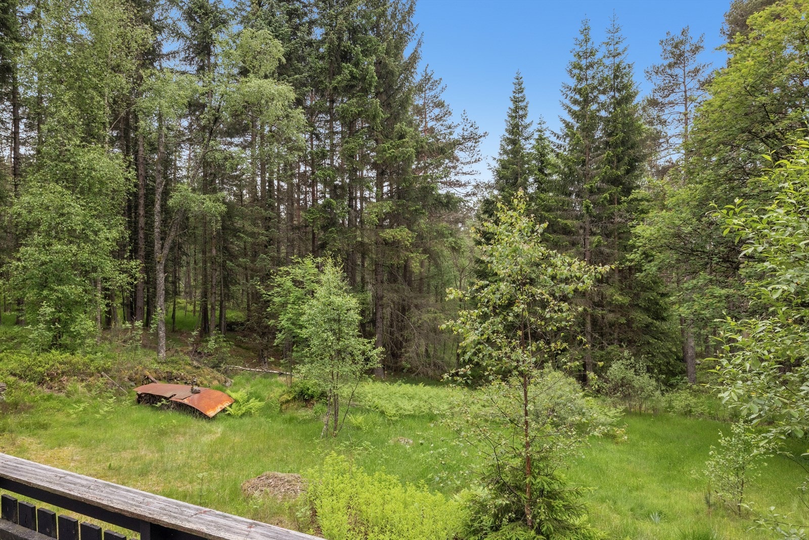 Utsikt over egen tomt og omkringliggende skog. Galleribilde
