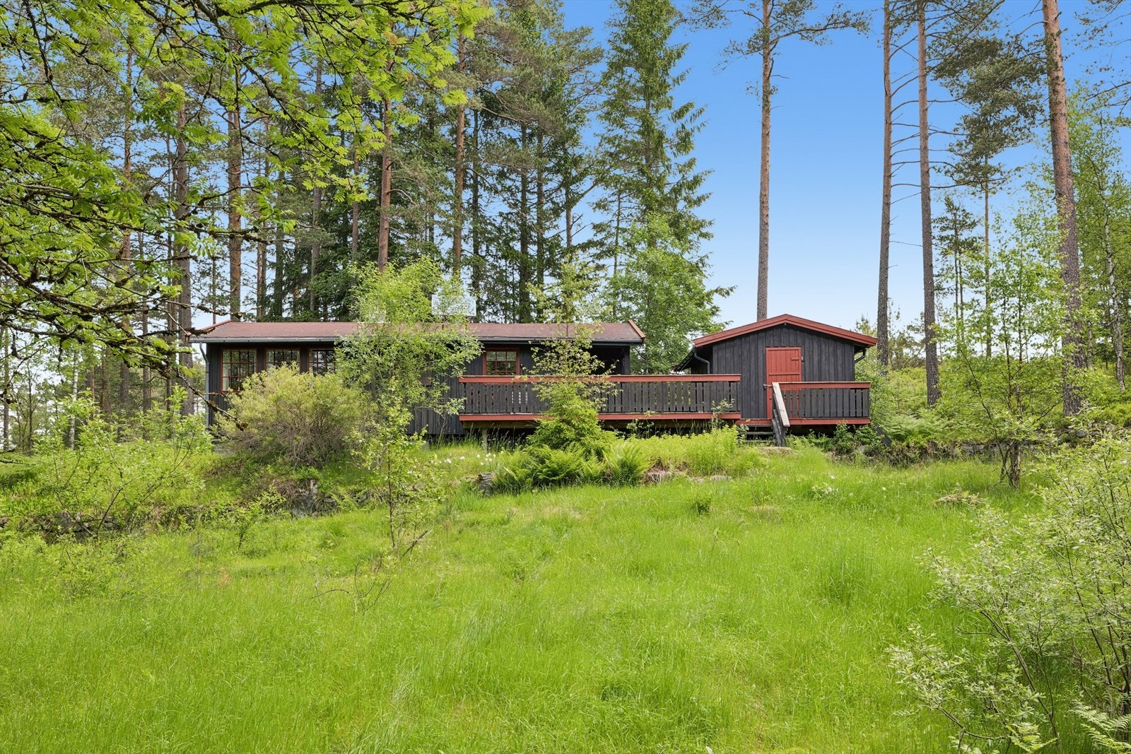 Hytta er omkranset av flott skog og natur. Galleribilde