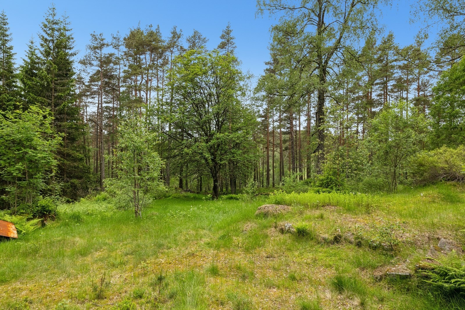 Tomten er en kupert naturtomt. Galleribilde