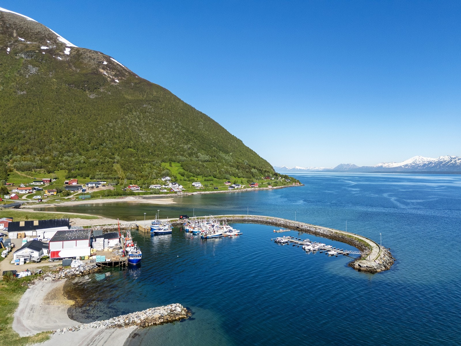 Oldervika småbåthavn