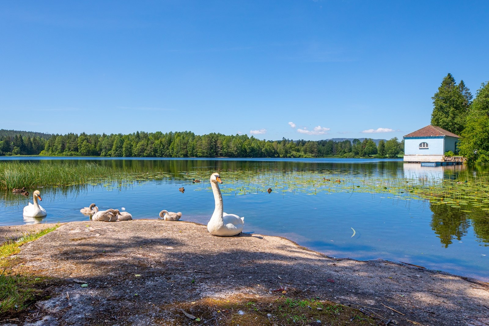 Ved golfbanen og på Engelsrud og Dikemark er det flere fine bademuligheter. Galleribilde