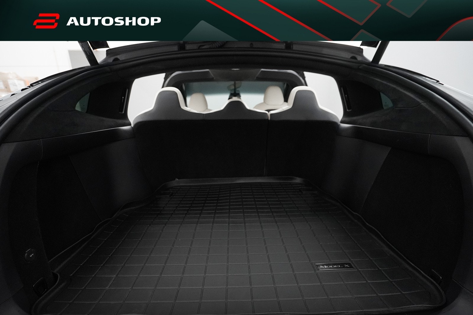 Tesla Model X 14