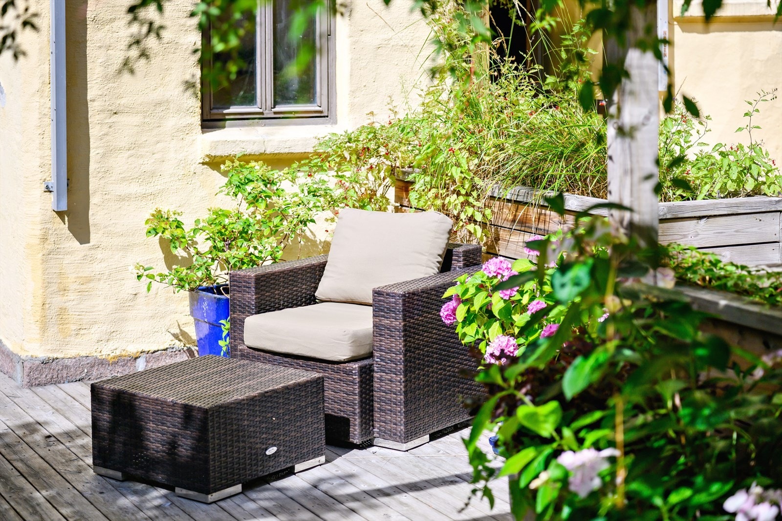 Bakgården byr på gode solforhold med formiddagssol og tidlig ettermiddagssol i sommerhalvåret. Galleribilde