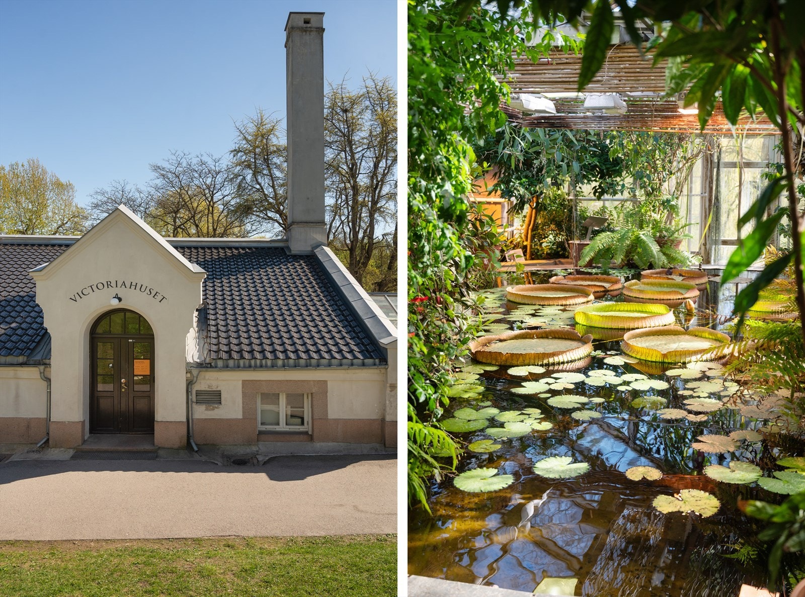 Botanisk hage 700 meter fra leiligheten. Galleribilde