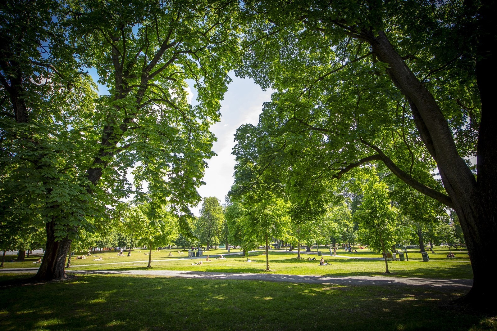 Sofienbergparken kun 350 meter fra leiligheten. Galleribilde