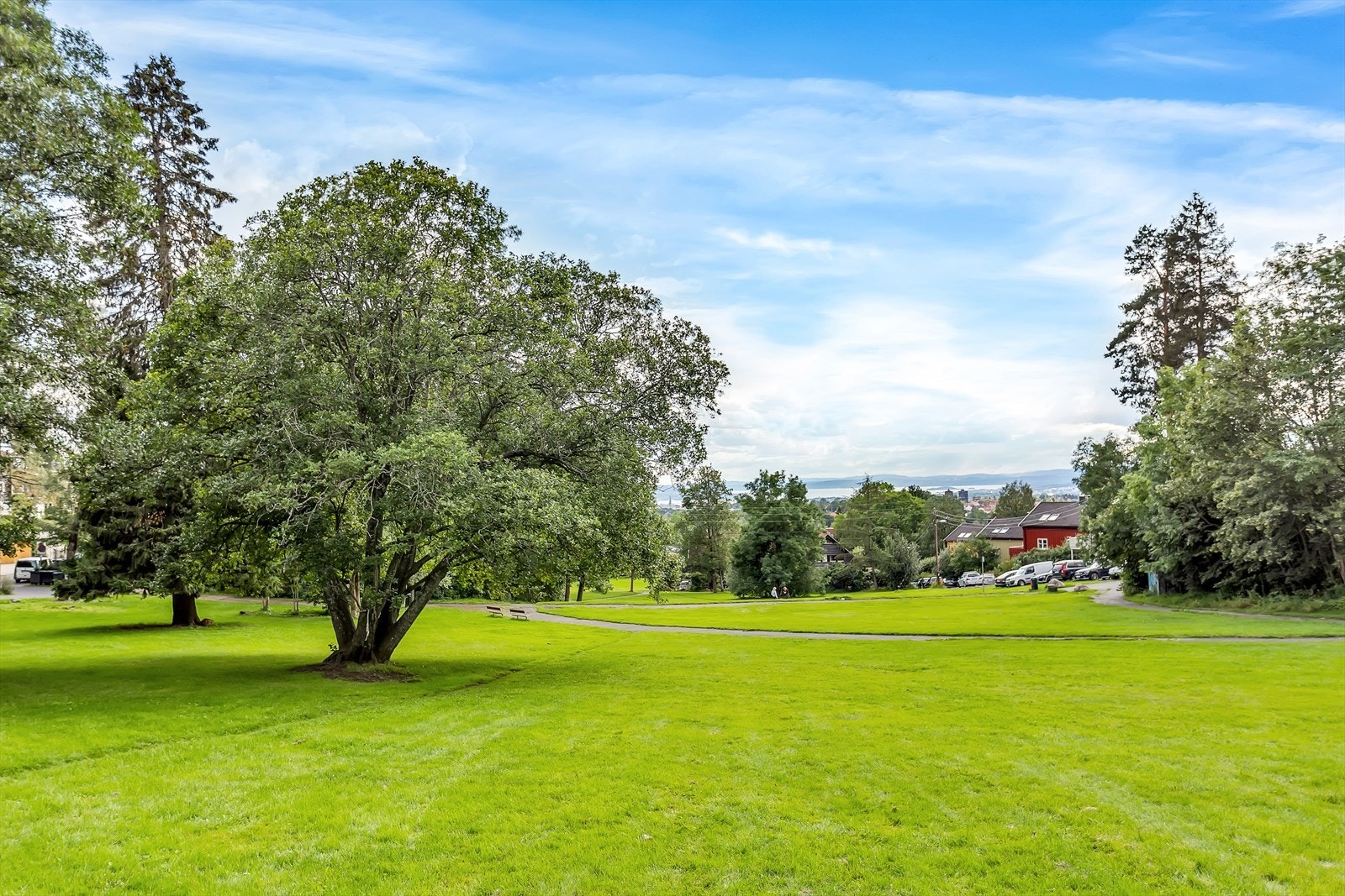 Havnabakken byr på fine tur- og treningsmuligheter, og premierer det hele med en nydelig utsikt. Galleribilde