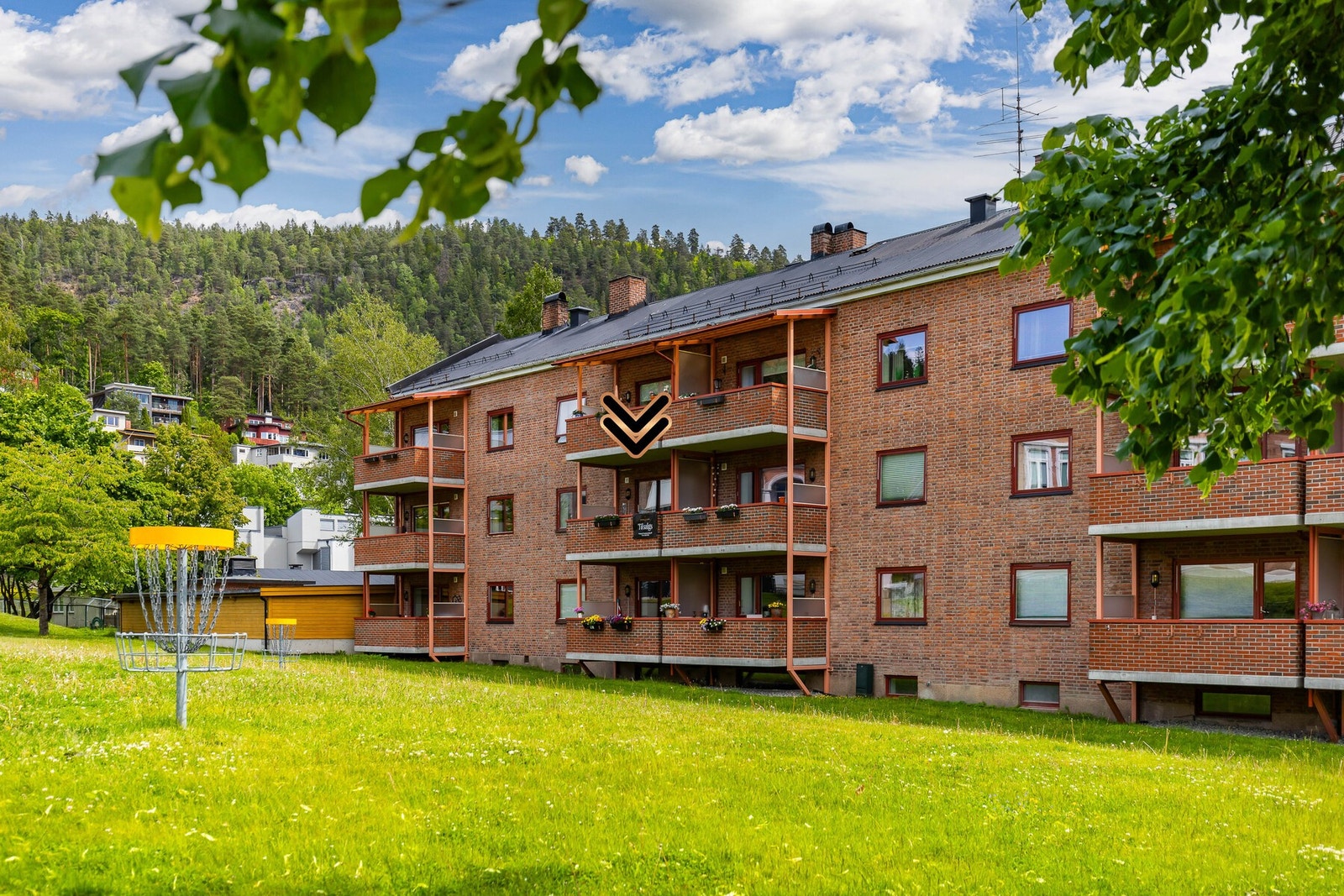 hovedbilde