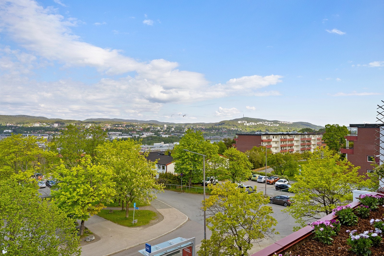 Flott utsikt Galleribilde