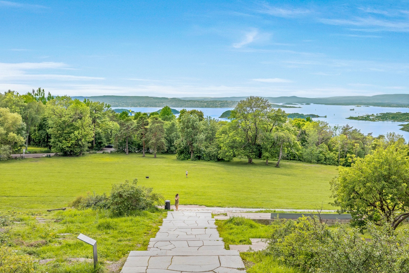 Hundesletta ved Ekebergparken Galleribilde
