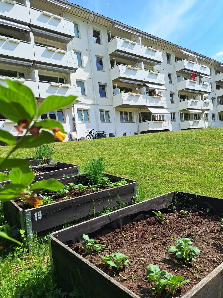 Borettslaget har plantekasser som kan disponeres av beboerne. Her kan du dyrke poteter, gulrøtter eller annet etter eget ønske. Galleribilde