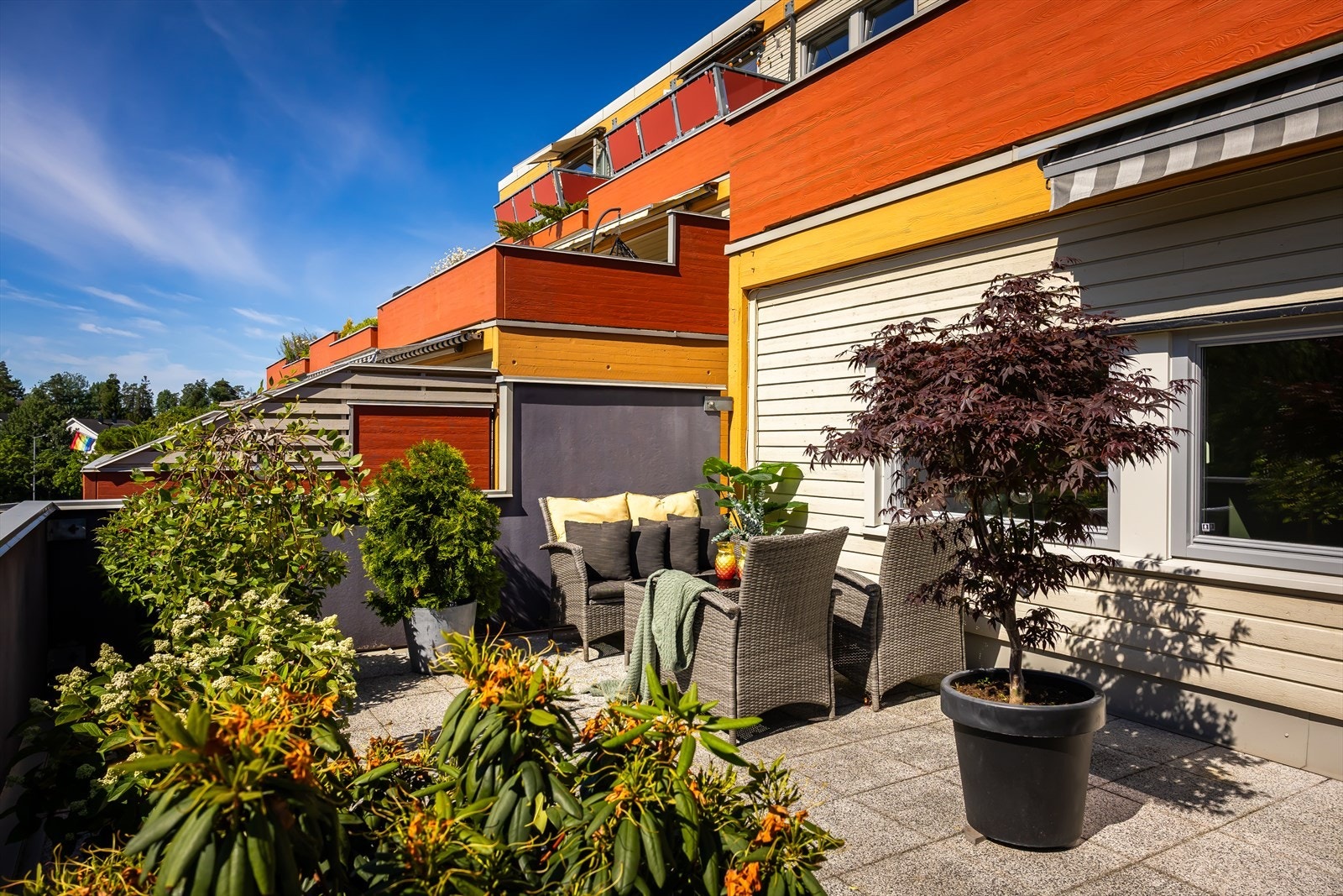 Terrasse Galleribilde