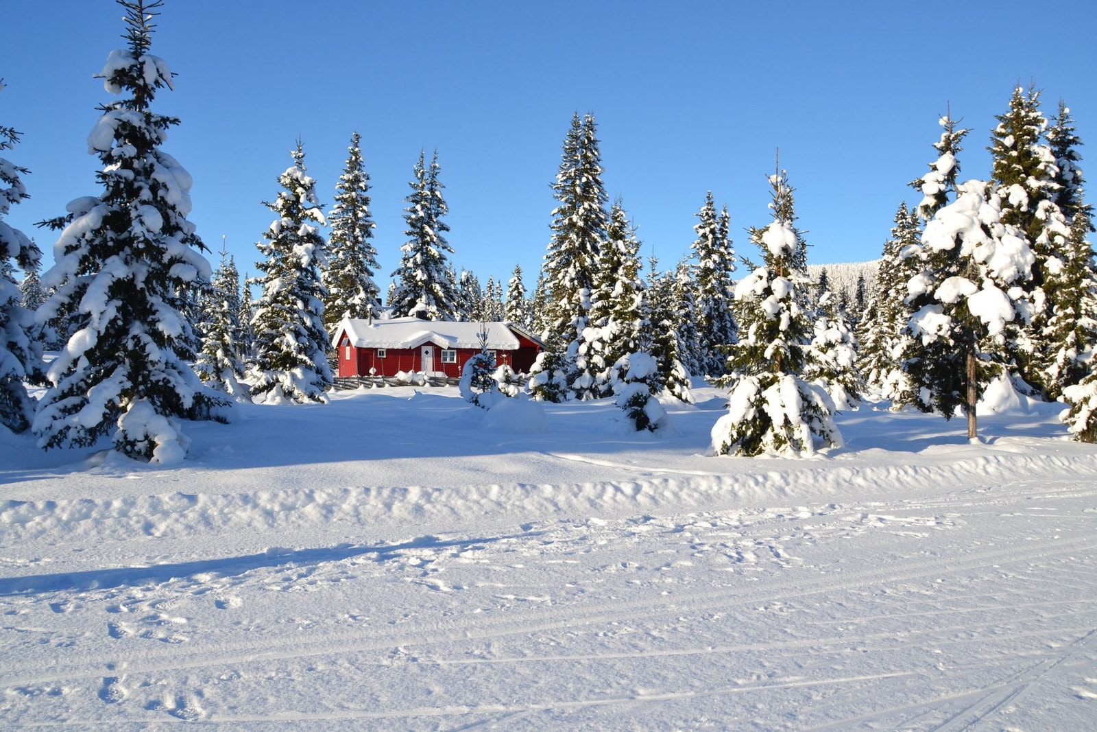 Vangen. Galleribilde
