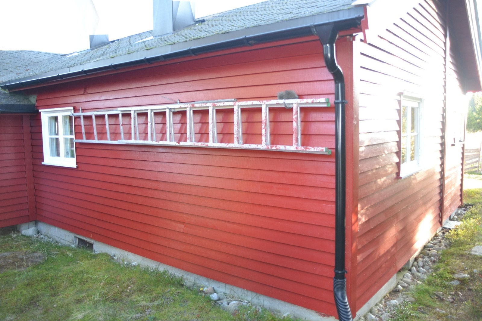 Vangen. Galleribilde