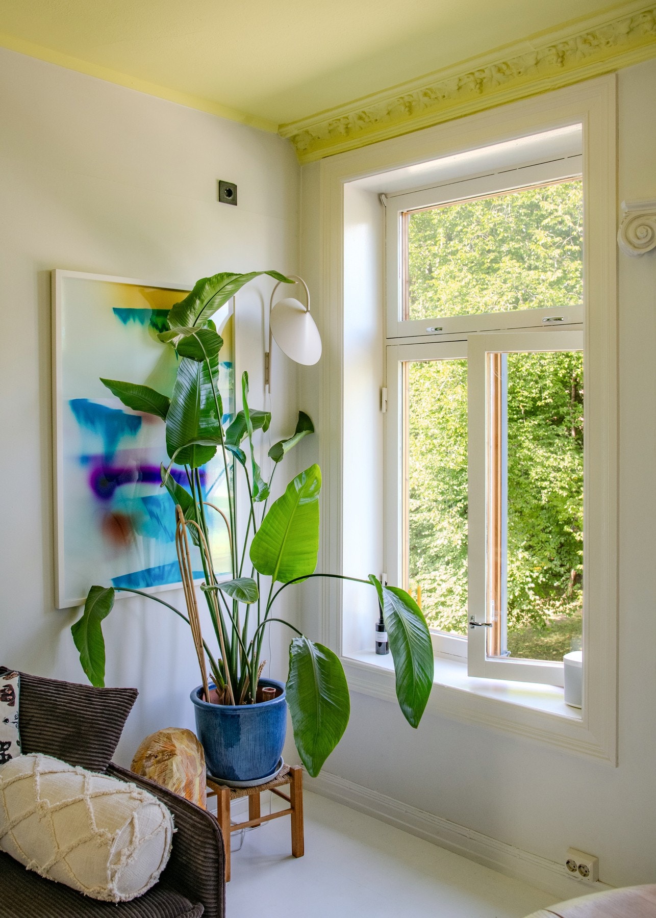 Her har du vakkert utsyn mot frodige Klosterenga. Galleribilde