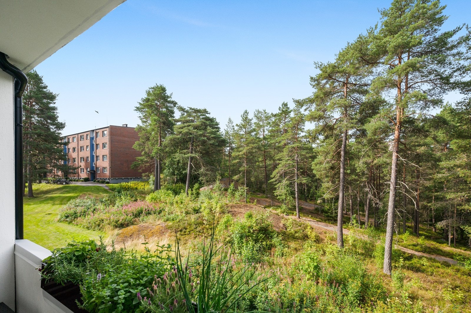 Utsikt over det hyggelige og frodige nabolaget. Galleribilde