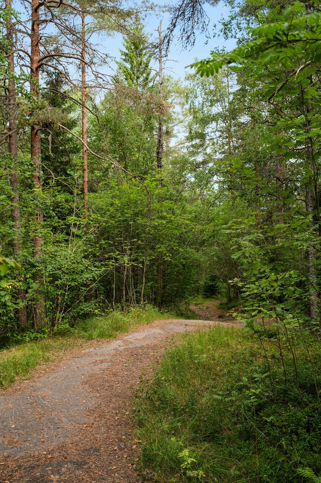 Flott intern beliggenhet inntil skogholt, med kort gange til bl. a. T-bane, buss, bibliotek, Bøler bad og senter via stikkvei. Galleribilde