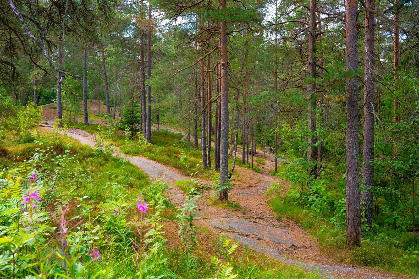 Her bor man i rolige og usjenerte omgivelser, men samtidig sentralt. Galleribilde