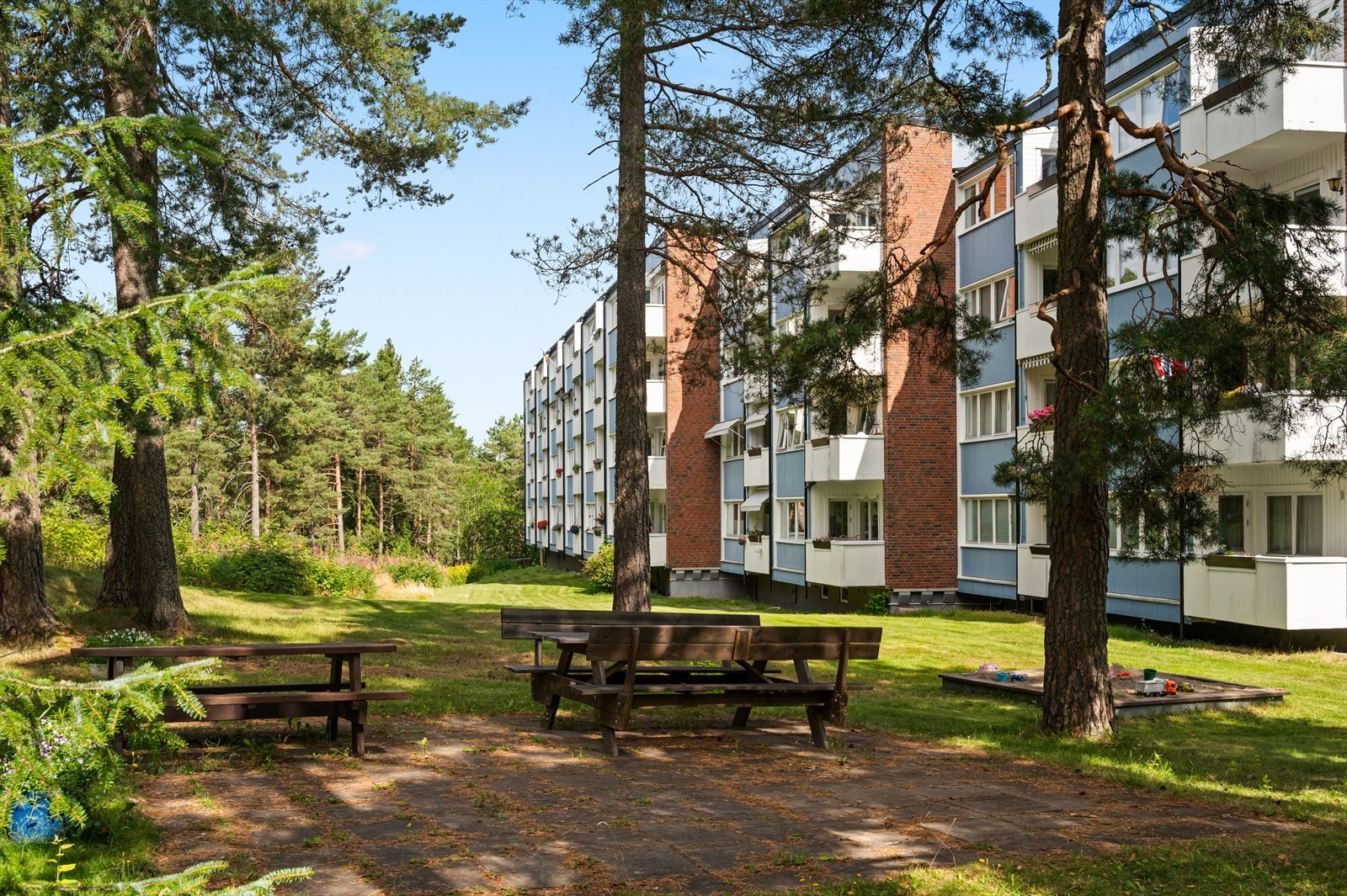 En egen bakgård inn i skogholtet- dyrehold som hund og katt, er tillatt. Galleribilde