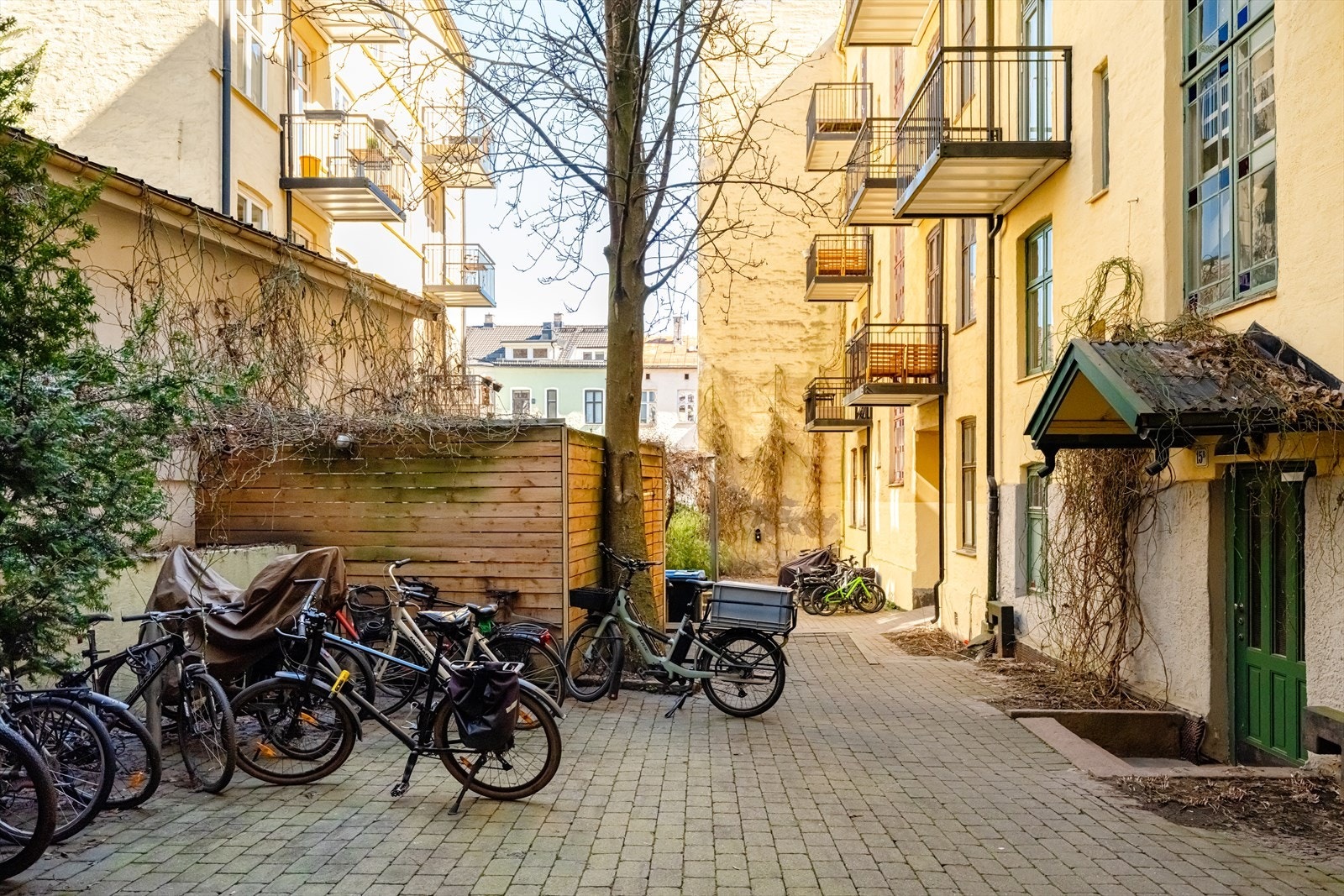 Bakgård er også utstyrt med sykkelparkering Galleribilde