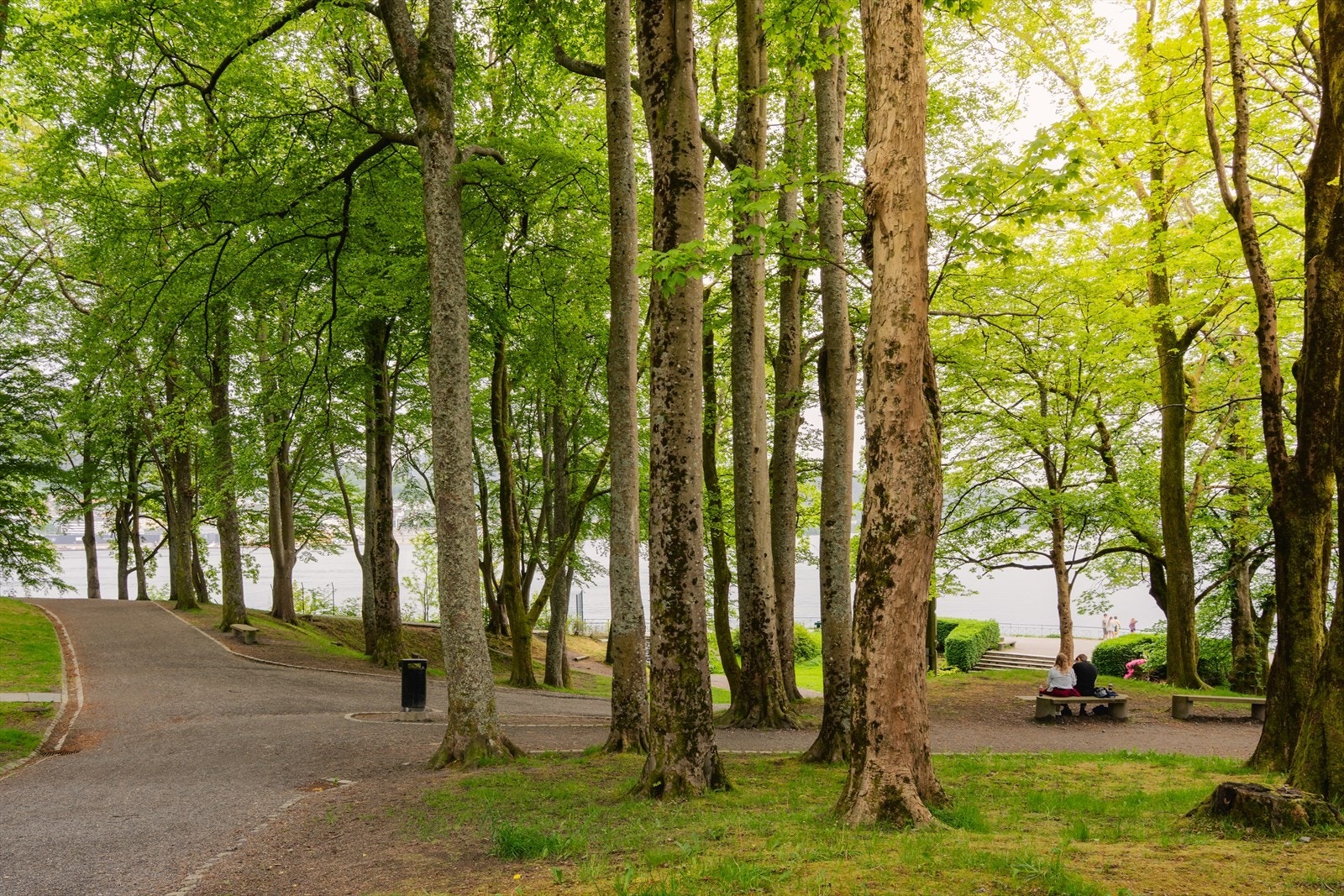 - Det er flere parkmuligheter kun få minutter fra inngangsdøren, bl.a. Nordnesparken - Galleribilde