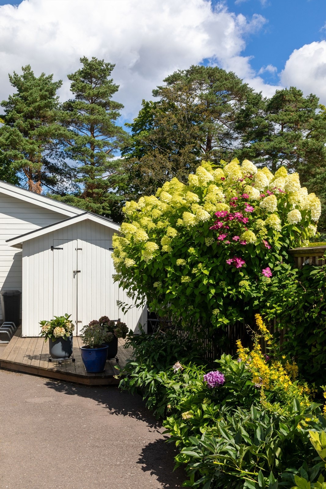 Frodig beplantning skaper en hyggelig ramme rundt eiendommen. Galleribilde