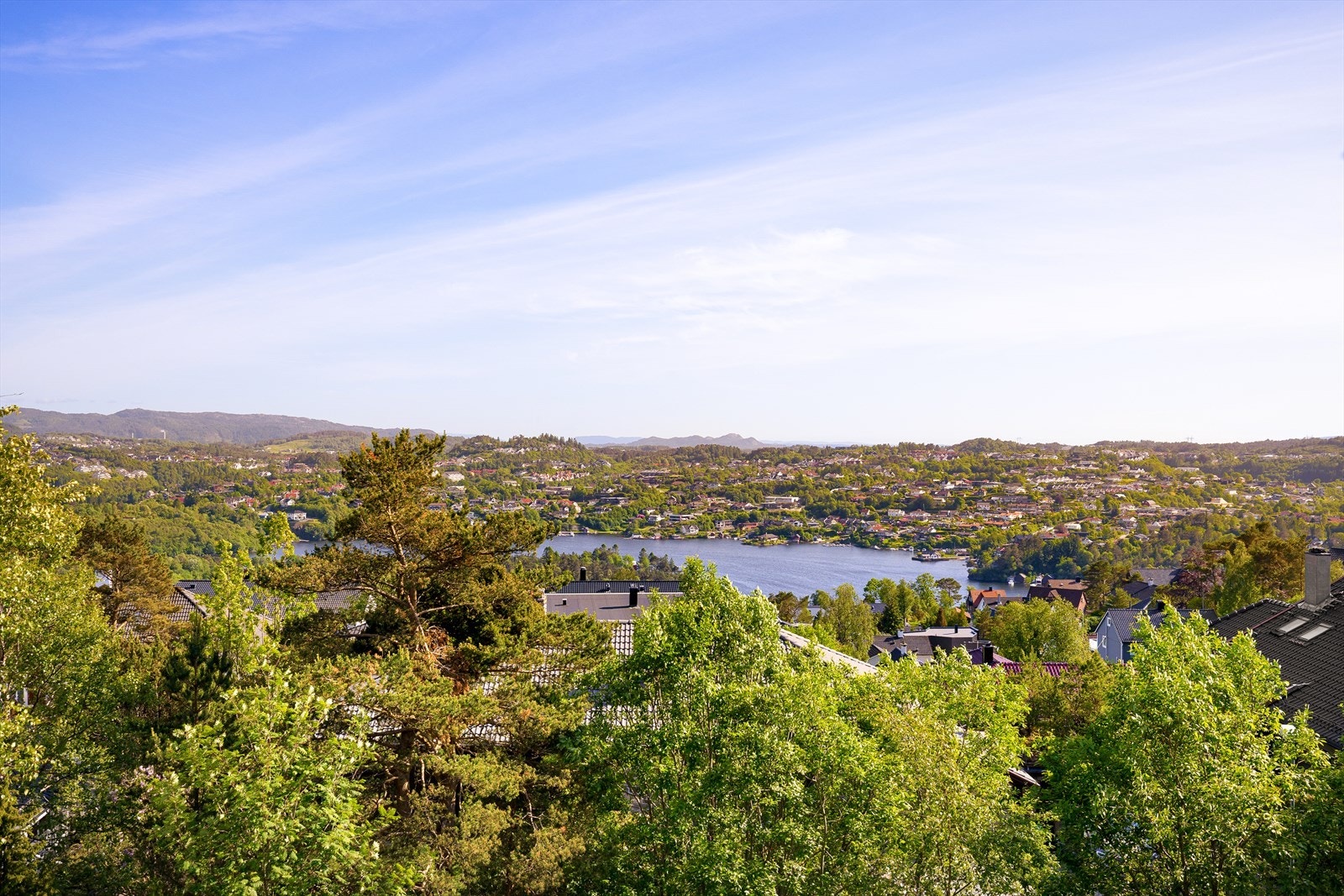 Utsikt over Bønes og de grønne, frodige omgivelsene. Galleribilde