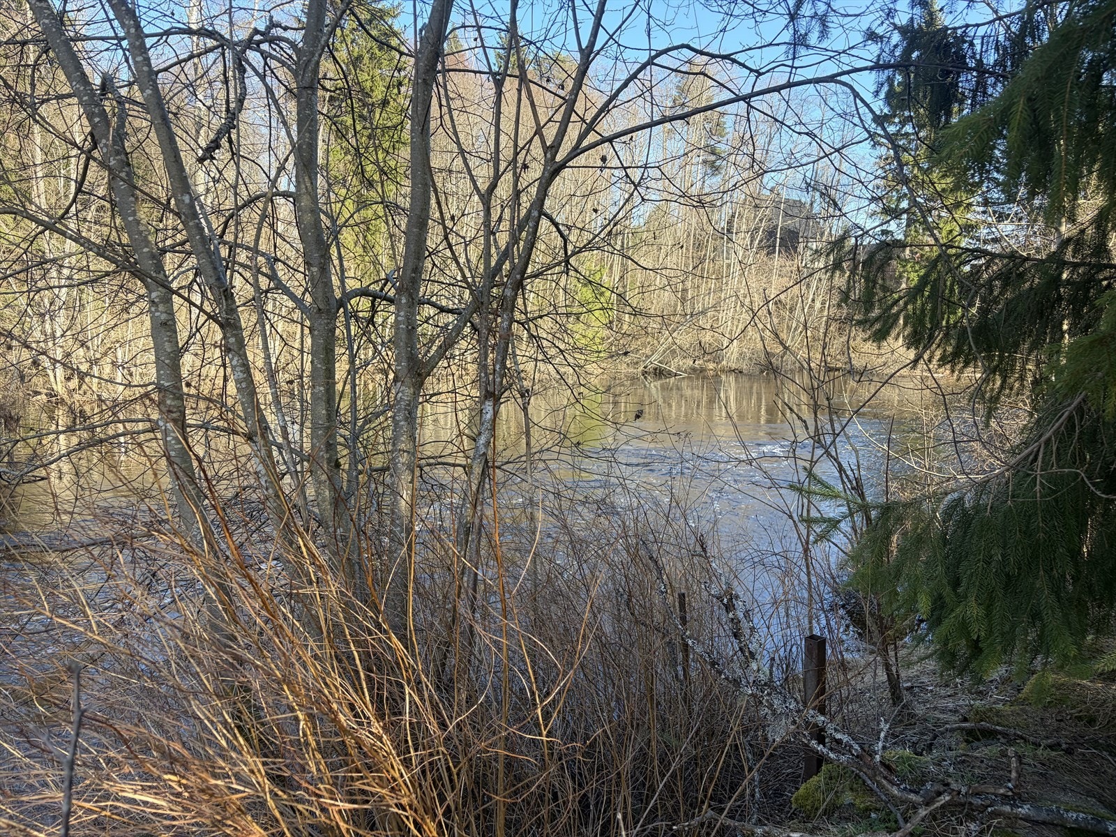 Tomten har strandlinje til Vrangselva. Galleribilde