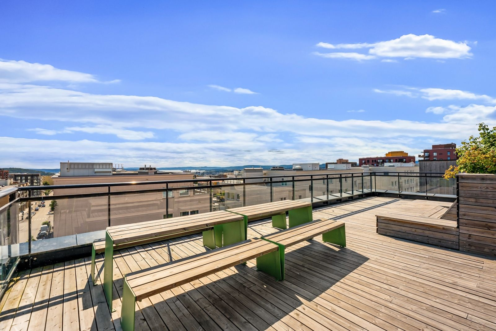 Fantastisk felles takterrasse. Galleribilde