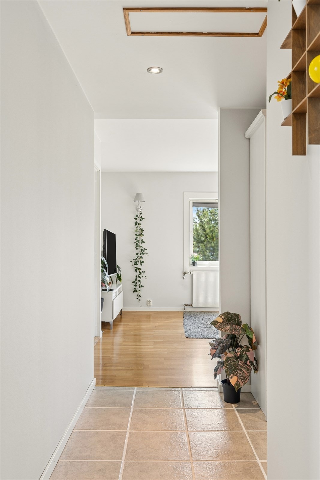 Fra gangen åpner leiligheten seg mot stuen og resten av boligen. Galleribilde