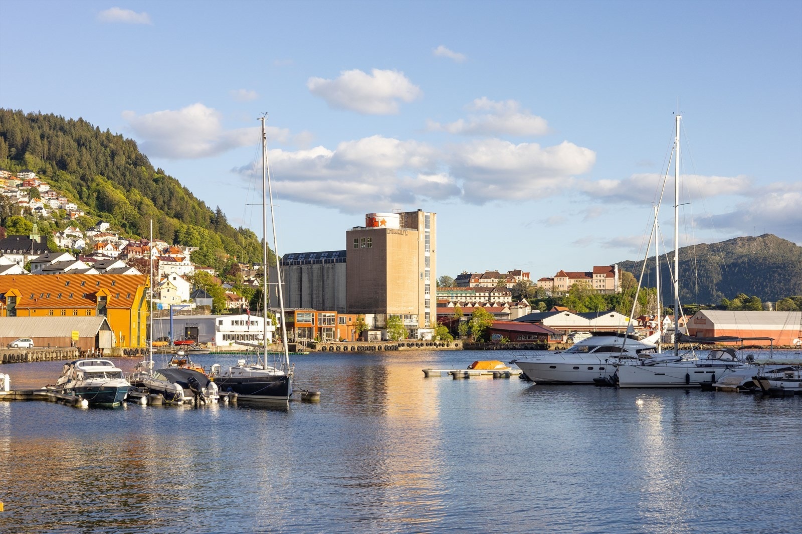 - Sjøutsikt og maritim stemning like ved havnebassenget - Galleribilde