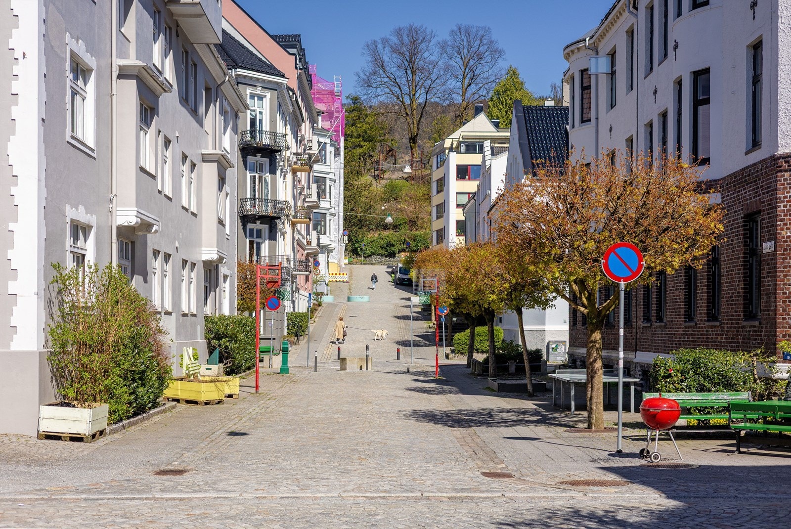 Nærområde Galleribilde