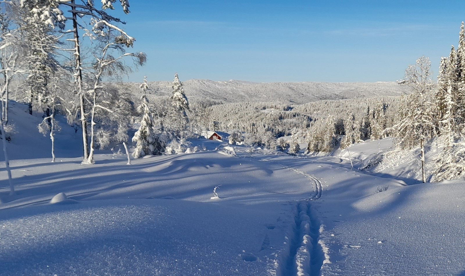 Foto: privat. Galleribilde