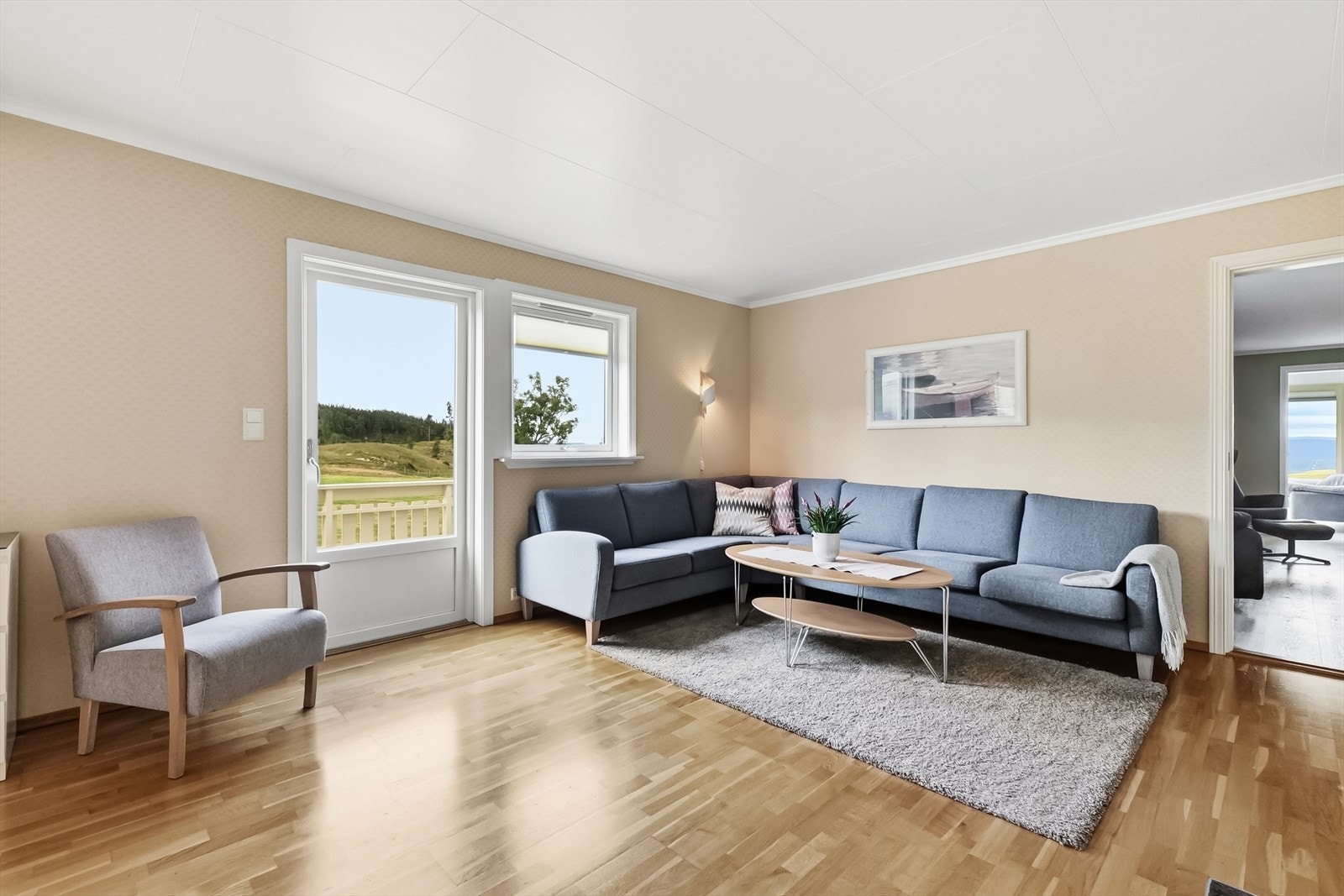 Fra stuen er det direkte utgang til terrasse. Galleribilde