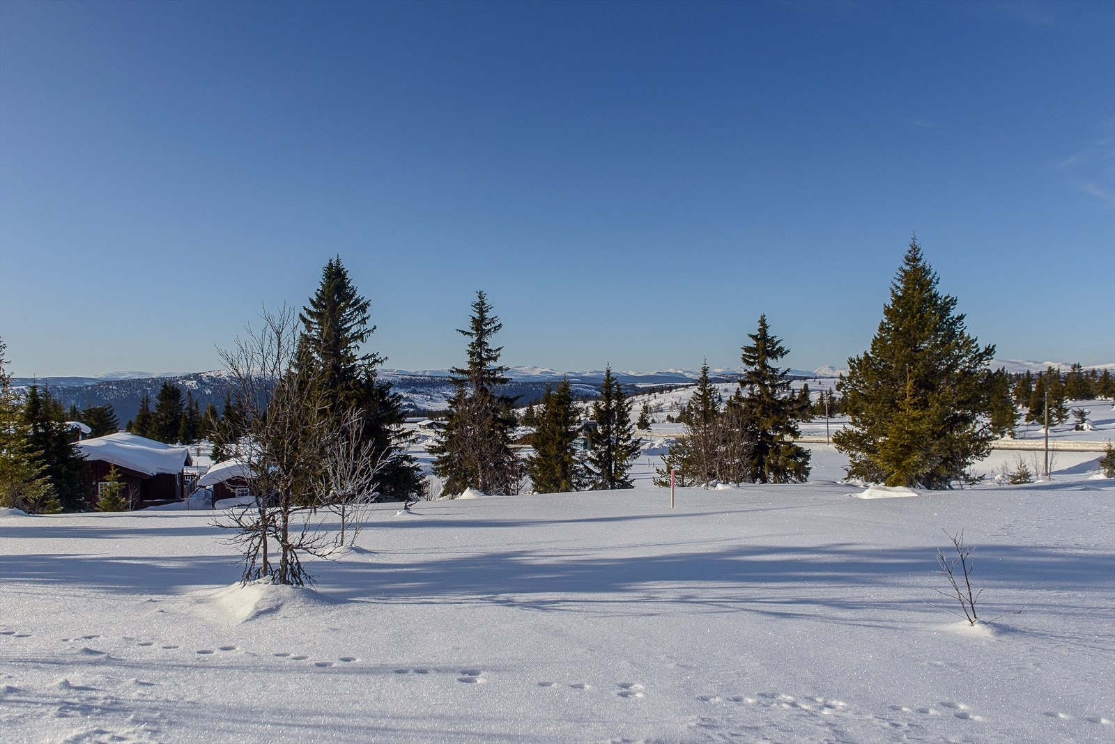 Fra tomtene er det flott utsikt mot blant annet Jotunheimen. Galleribilde