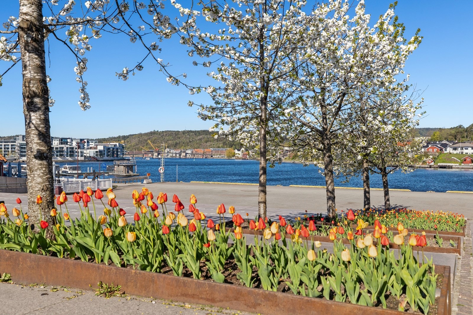 Nærområdet byr på flotte grøntområder som Reynoldsparken, perfekt for rekreasjon og turer. Galleribilde